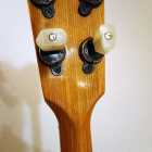 framus0012
